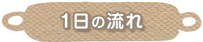 1日の流れ